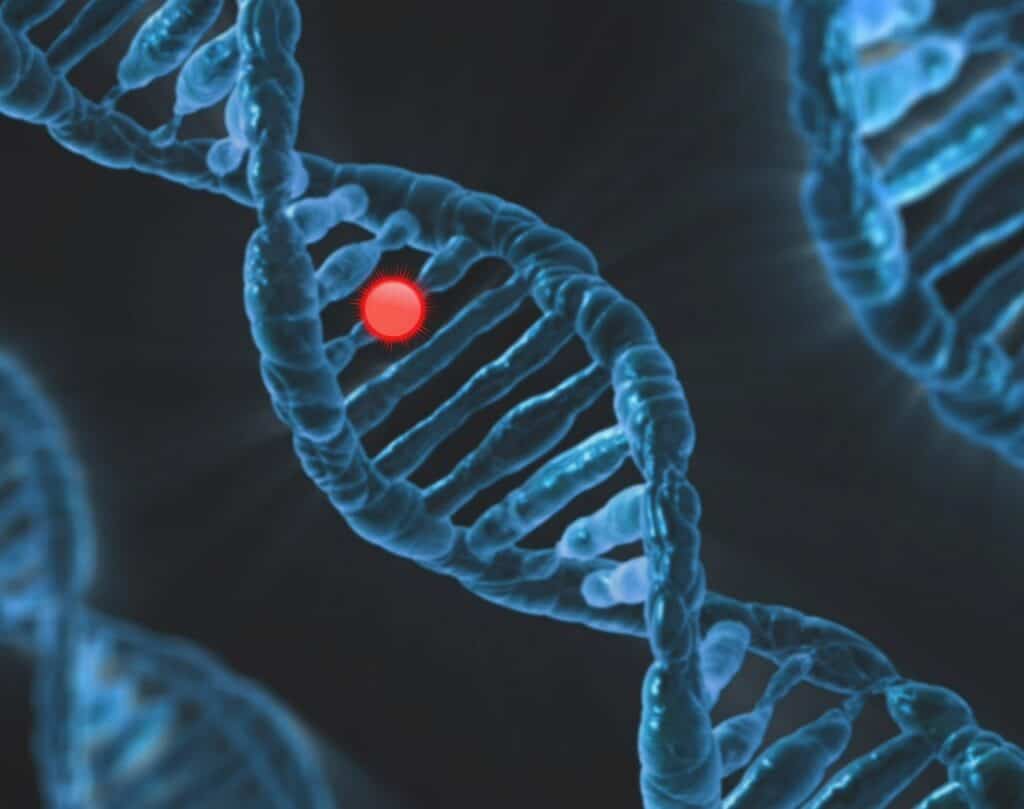 dna, genetics, mutation
